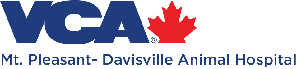 Mt. Pleasant - Davisville Animal Hospital